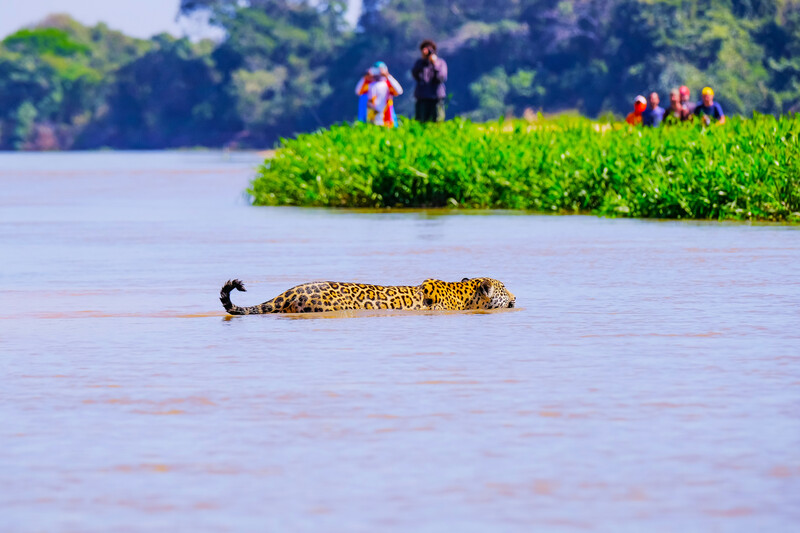 Ecoturismo